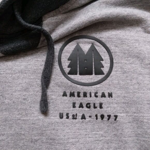 American Eagle Outfitters USA 1977 Gray Hoodie Pullover Spell Out Mens Medium - Picture 9 of 14
